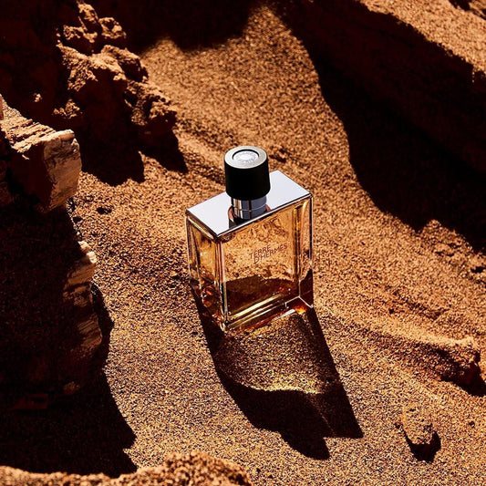 Terre d'Hermes EDT 100ml