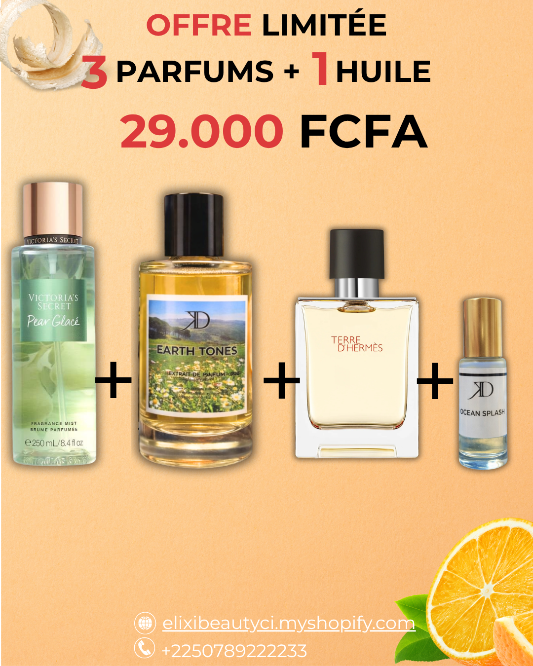KD Earth Tones+ Terre d'hermes + brume + Huile Ocean Splash